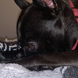 Meet your Posher, Geri